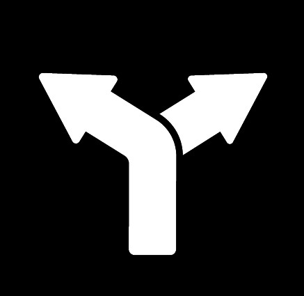 Choosewise logo